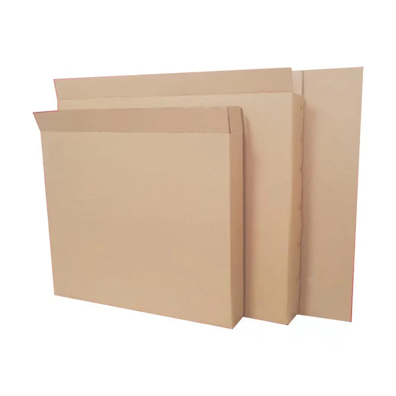 Mailer Carton by PacksFactory