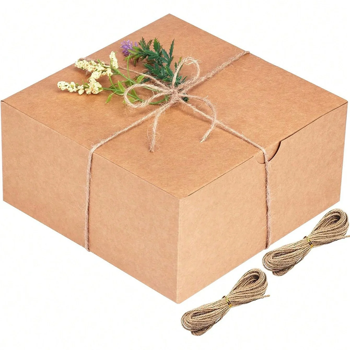 Kraft Packaging Box by PacksFactory